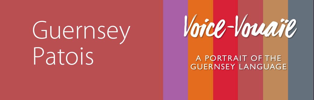 Voice-Vouaïe